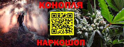 молекула духа Гатчина