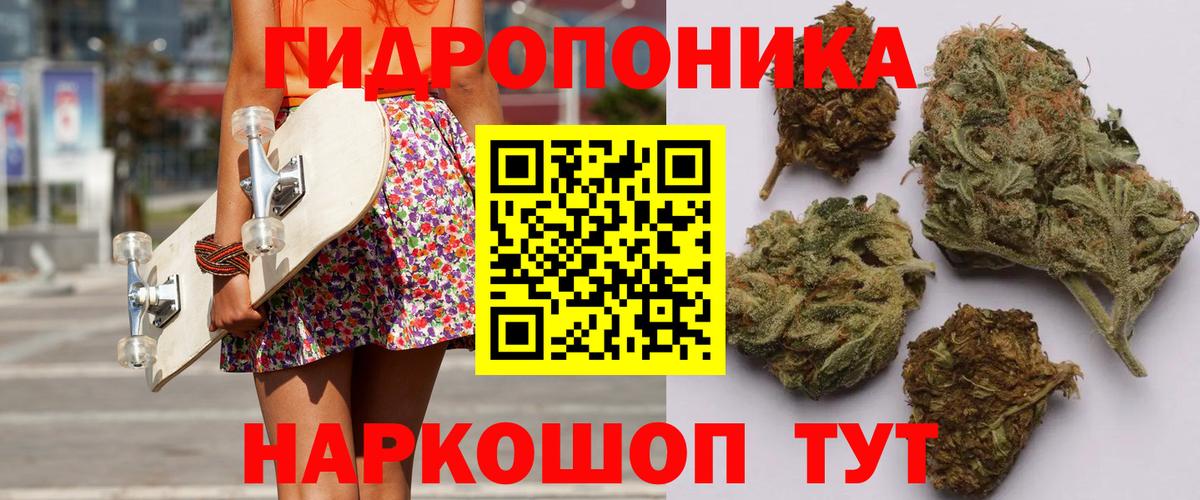 МАРИХУАНА ГИДРОПОН Сальск